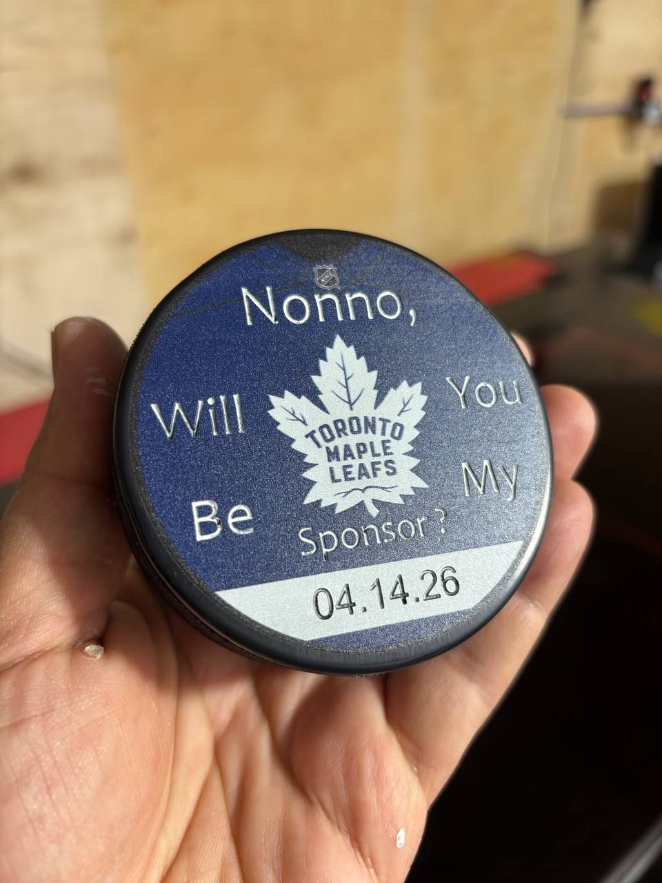 Hockey Puck